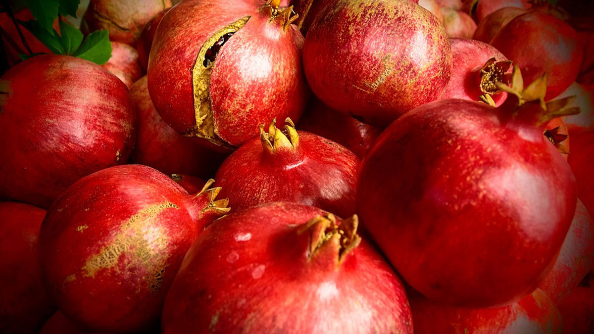 varietà melagrana